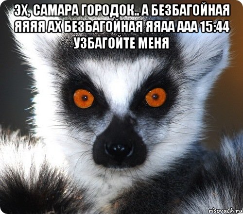 Эх, Самара городок.. А безбагойная яяяя Ах безбагойная яяаа ааа 15:44 Узбагойте меня , Мем лемур