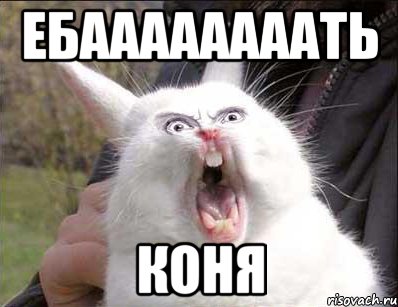 ЕБААААААААТЬ КОНЯ