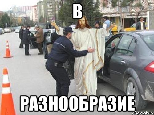 В Разнообразие