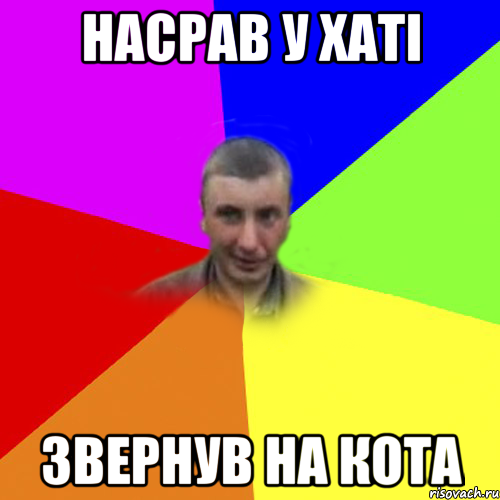 НАСРАВ У ХАТI ЗВЕРНУВ НА КОТА