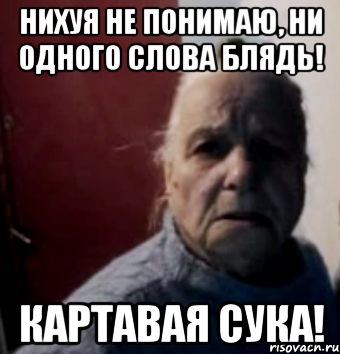 нихуя не понимаю, ни одного слова блядь! картавая сука!, Мем аносова вал