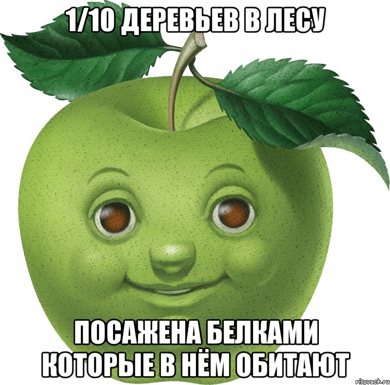 1/10 деревьев в лесу посажена белками которые в нём обитают, Мем Apple