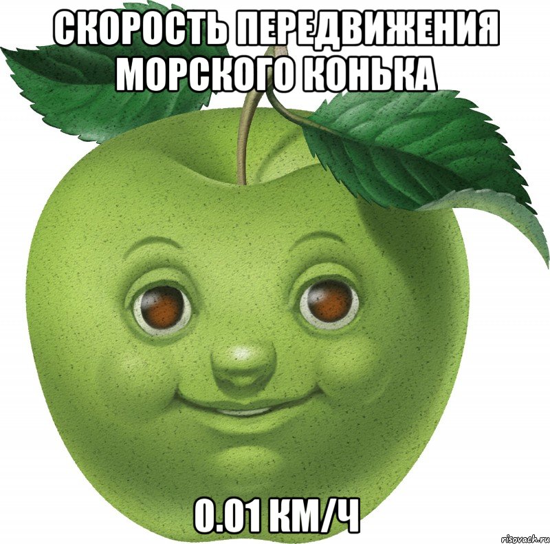 Скорость передвижения морского конька 0.01 км/ч, Мем Apple