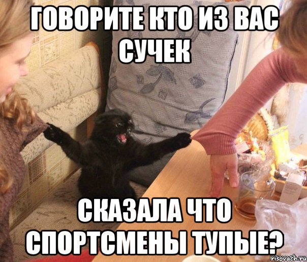 говорите кто из вас сучек сказала что спортсмены тупые?