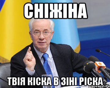 сніжіна твія кіска в зіні ріска, Мем азаров