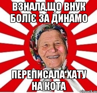 Взнала,що внук боліє за Динамо переписала хату на кота, Мем  бабуля