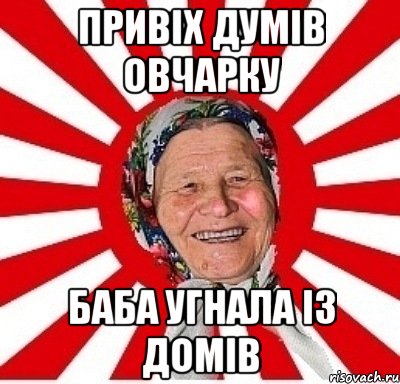 привіх думів овчарку баба угнала із домів, Мем  бабуля