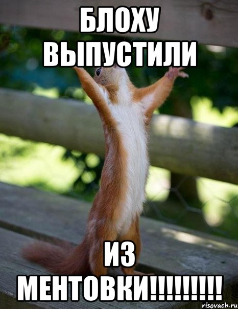 БЛОХУ ВЫПУСТИЛИ ИЗ МЕНТОВКИ!!!!!!!!!, Мем    белка молится