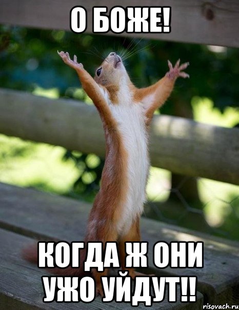 о боже! когда ж они ужо уйдут!!, Мем    белка молится
