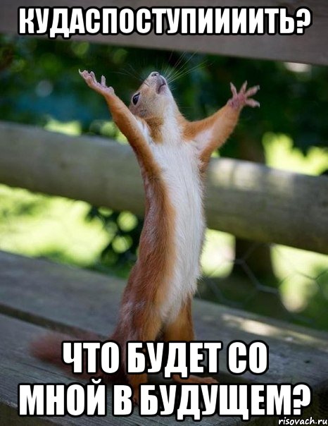 КУДАСПОСТУПИИИИТЬ? ЧТО БУДЕТ СО МНОЙ В БУДУЩЕМ?, Мем    белка молится