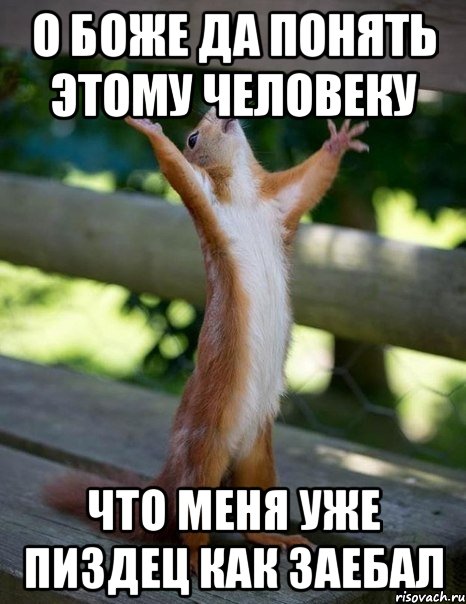 о боже да понять этому человеку что меня уже пиздец как заебал, Мем    белка молится