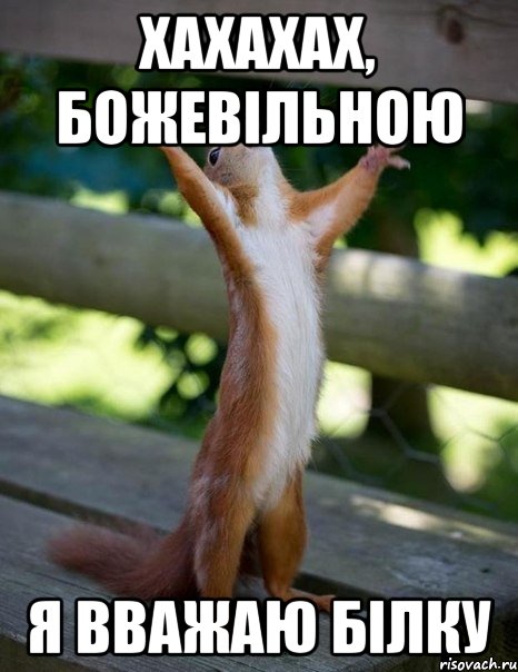 хахахах, Божевільною я вважаю білку, Мем    белка молится
