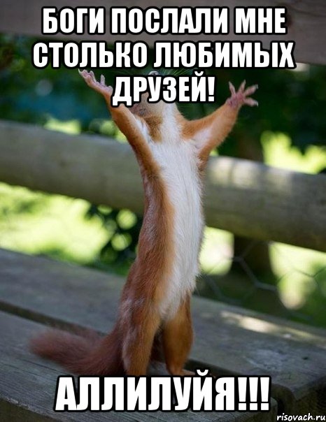 Боги послали мне столько любимых друзей! Аллилуйя!!!, Мем    белка молится
