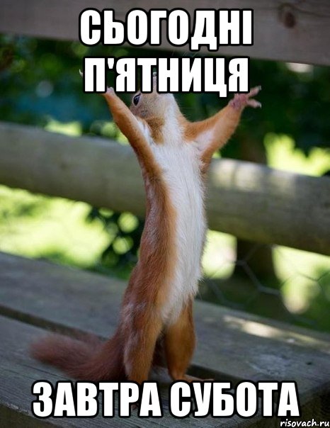 сьогодні п'ятниця завтра субота, Мем    белка молится