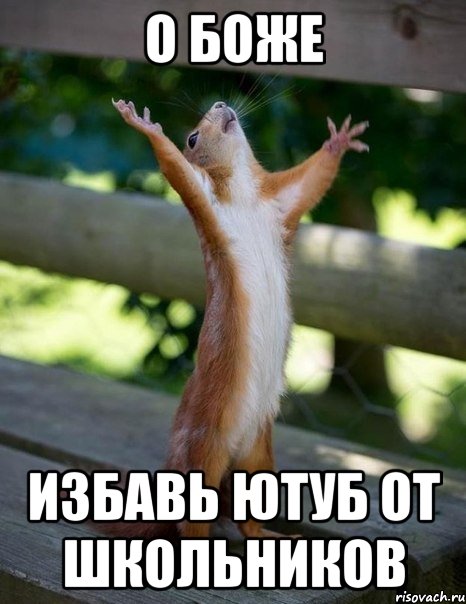 О БОЖЕ Избавь ютуб от школьников, Мем    белка молится