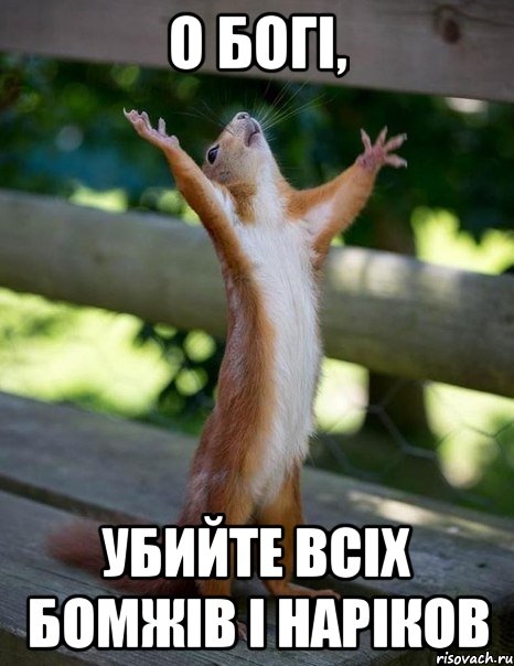 О Богі, убийте всіх бомжів і наріков, Мем    белка молится