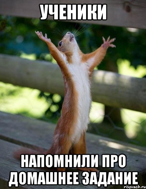 Ученики Напомнили про домашнее задание, Мем    белка молится