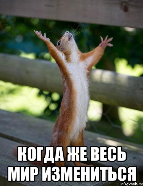  когда же весь мир измениться, Мем    белка молится