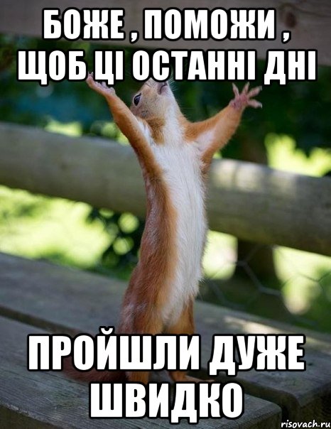 Боже , поможи , щоб ці останні дні пройшли дуже швидко, Мем    белка молится