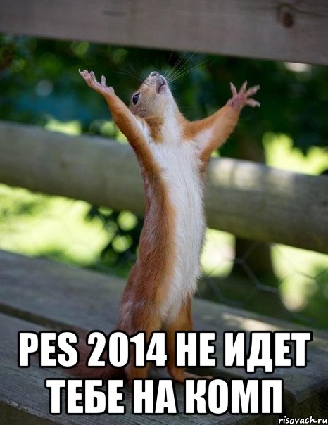  PES 2014 не идет тебе на комп, Мем    белка молится