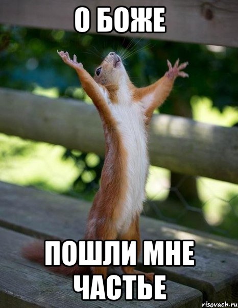о боже пошли мне частье, Мем    белка молится