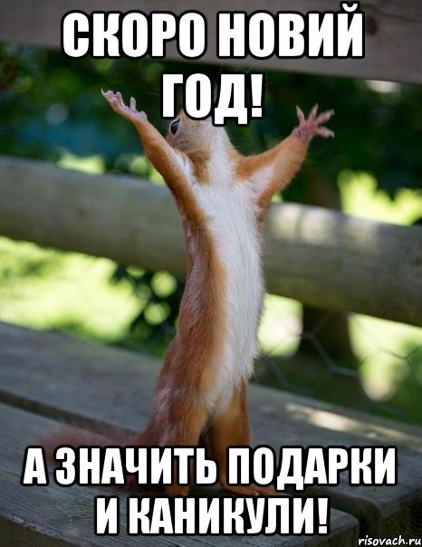 Скоро Новий Год! А значить подарки и каникули!, Мем    белка молится