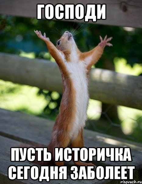 господи пусть историчка сегодня заболеет, Мем    белка молится