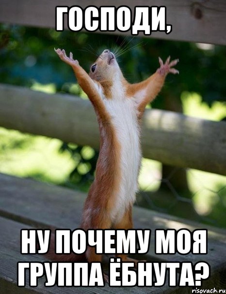 ГОСПОДИ, ну почему моя группа ёбнута?, Мем    белка молится