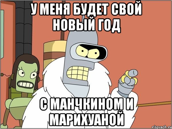 У меня будет свой Новый год С манчкином и марихуаной, Мем Бендер