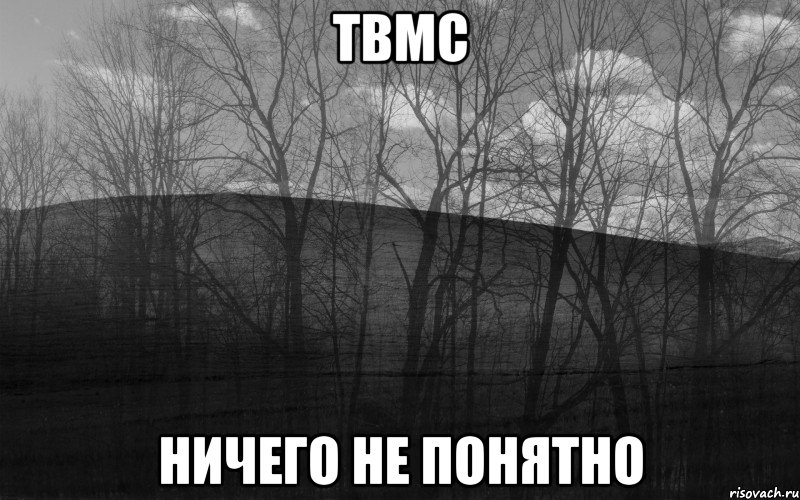 ТВМС НИЧЕГО НЕ ПОНЯТНО, Мем безысходность лес