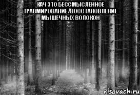 кач это бессмысленное травмирование/восстановление мышечных волокон , Мем безысходность