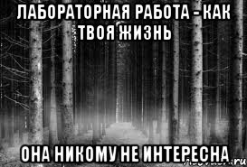 Лабораторная работа - как твоя жизнь Она никому не интересна