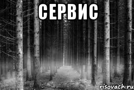 СЕРВИС 