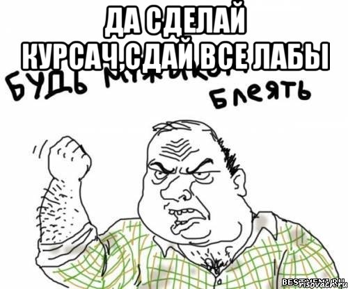 Да сделай курсач,сдай все лабы , Мем блять