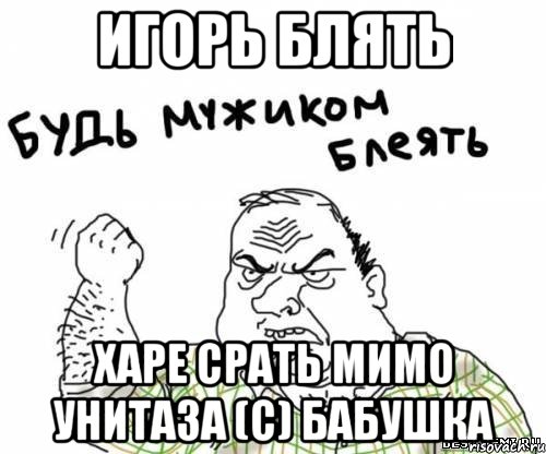 Игорь блять Харе срать мимо унитаза (С) Бабушка