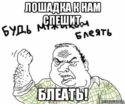 Лошадка к нам спешит, блеать!