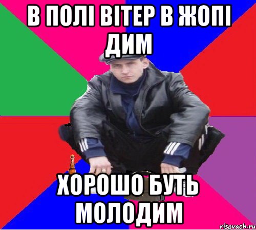 В ПОЛІ ВІТЕР В ЖОПІ ДИМ ХОРОШО БУТЬ МОЛОДИМ