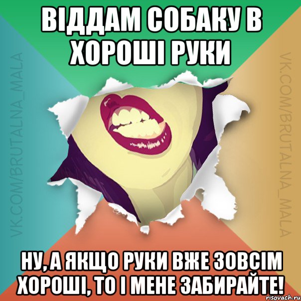 Віддам собаку в хороші руки Ну, А якщо руки вже зовсім хороші, то і мене забирайте!