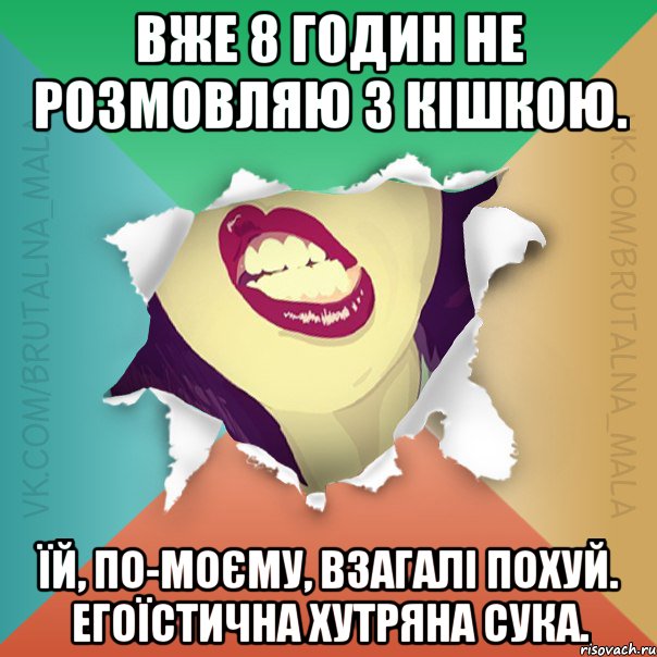 Вже 8 годин не розмовляю з кішкою. Їй, по-моєму, взагалі похуй. Егоїстична хутряна сука.
