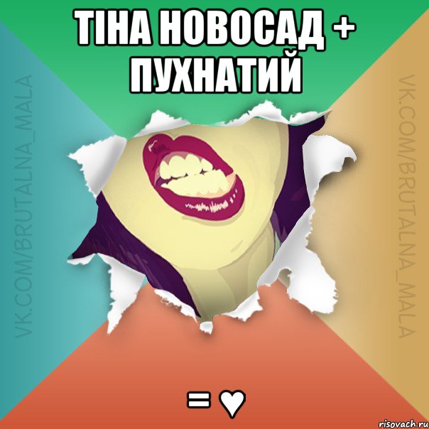 Тіна Новосад + Пухнатий = ♥