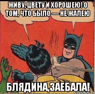 ЖИВУ, ЦВЕТУ и ХОРОШЕЮ! О том, что было — не жалею блядина,заебала!, Комикс   Бетмен и Робин