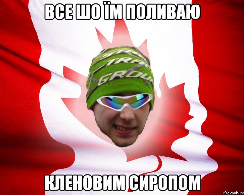 все шо їм поливаю кленовим сиропом