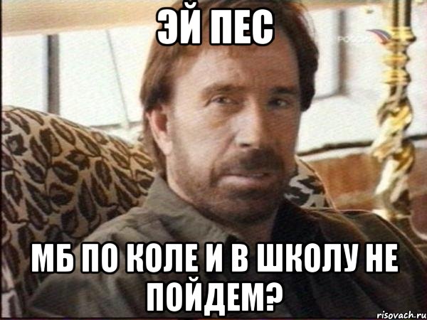 ЭЙ ПЕС МБ ПО КОЛЕ И В ШКОЛУ НЕ ПОЙДЕМ?, Мем чак норрис
