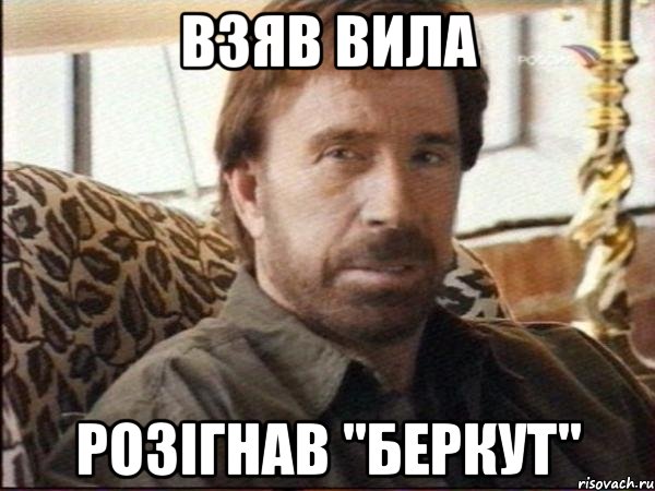 взяв вила розігнав "Беркут", Мем чак норрис