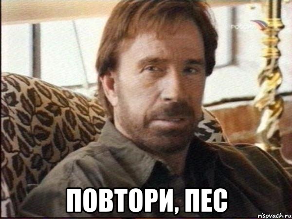  Повтори, пес