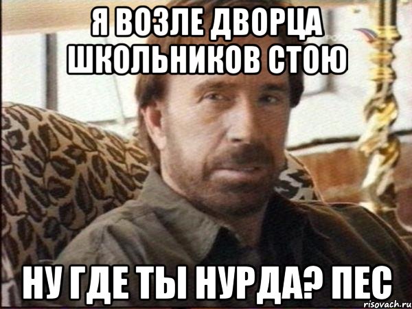 Я возле дворца школьников стою Ну где ты Нурда? ПЕС