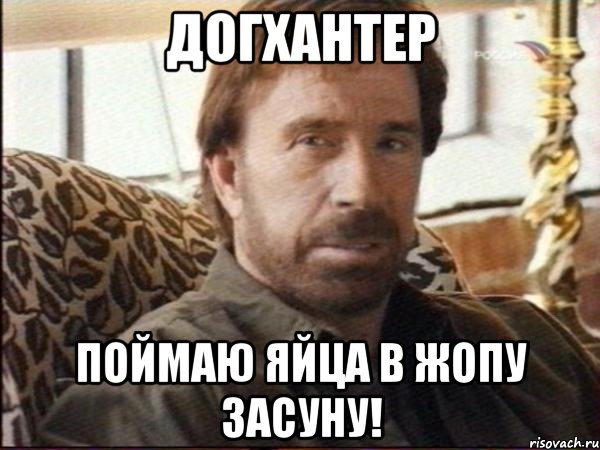 ДОГХАНТЕР ПОЙМАЮ ЯЙЦА В ЖОПУ ЗАСУНУ!, Мем чак норрис