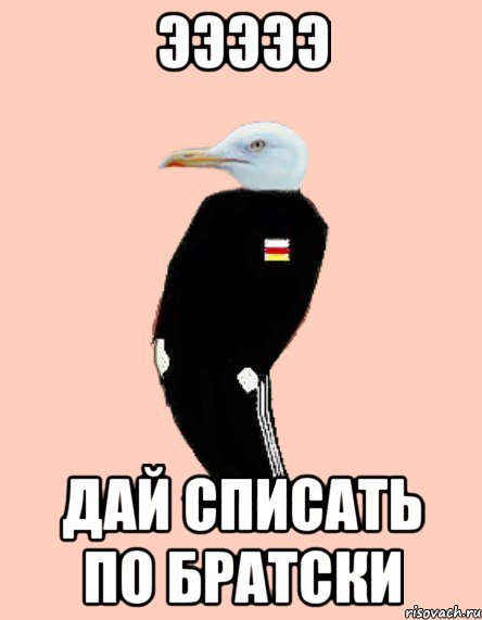Эээээ Дай списать по братски