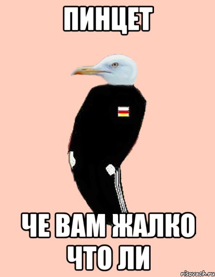 пинцет че вам жалко что ли