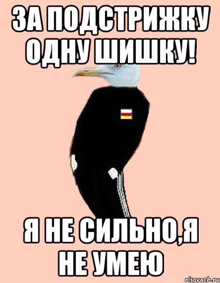 За подстрижку одну шишку! Я не сильно,я не умею